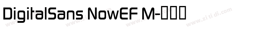 DigitalSans NowEF M字体转换